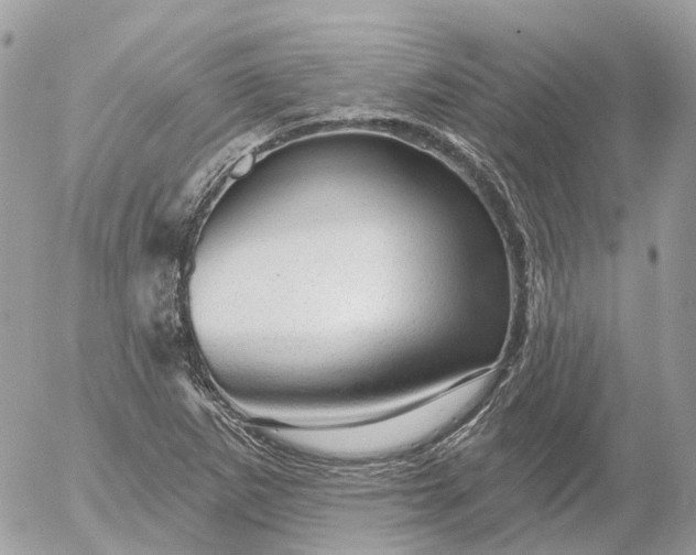 X0000052931265200507221112