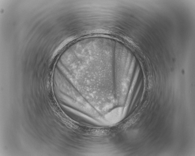 X0000052931266200507221112