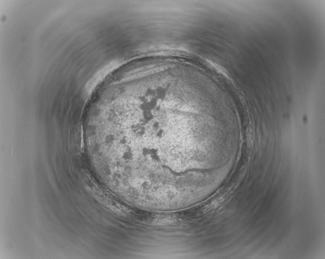 X0000052931267200507221112