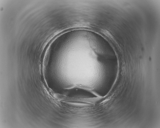 X0000052931268200507221112