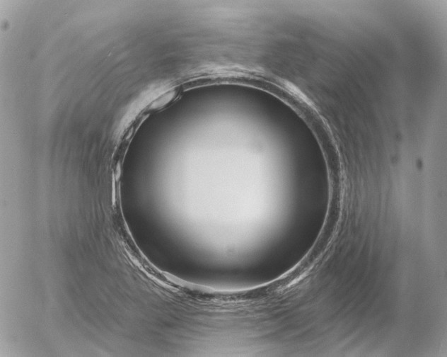 X0000052931269200507221112