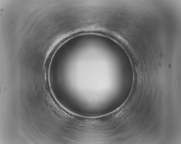 X0000052931270200507221112