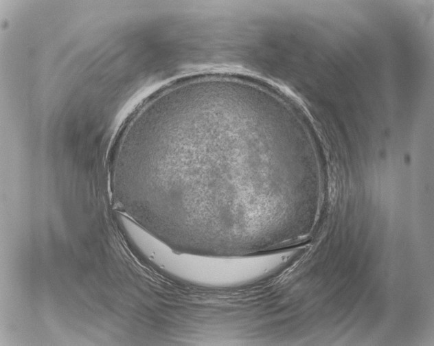 X0000052931271200507221112