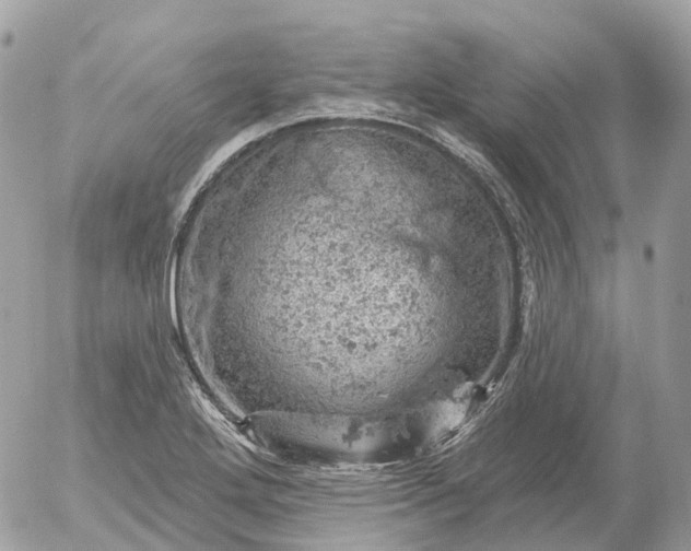 X0000052931272200507221112