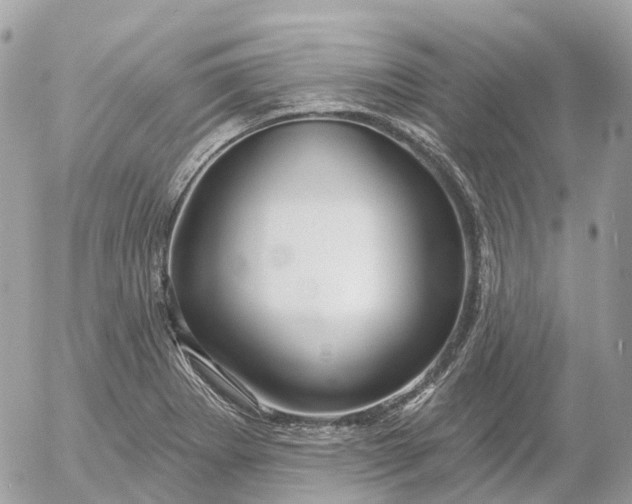 X0000052931273200507221112