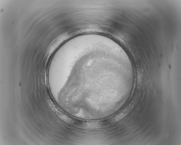 X0000052931274200507221112