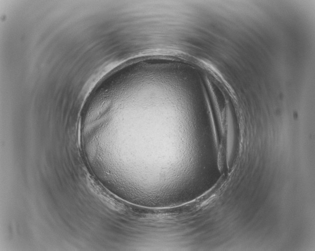 X0000052931276200507221112