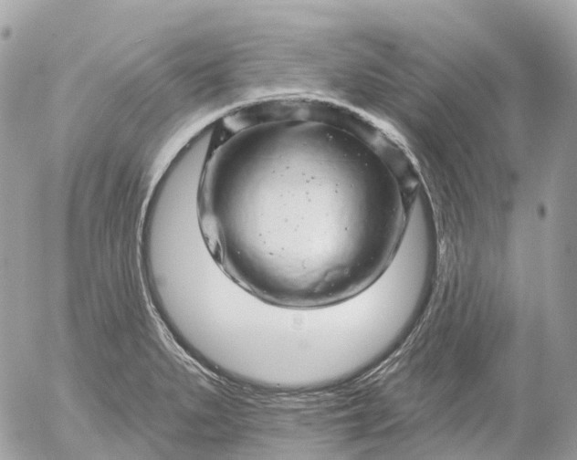 X0000052931279200507221112