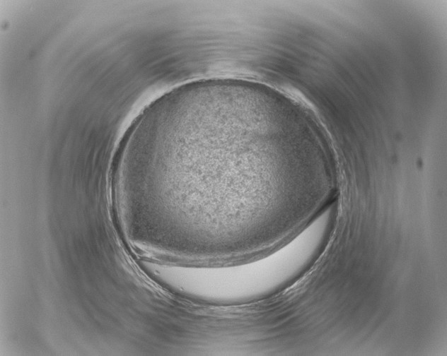 X0000052931280200507221112