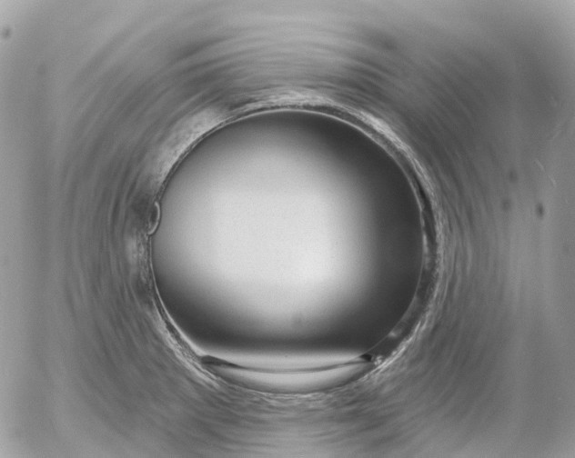 X0000052931281200507221112