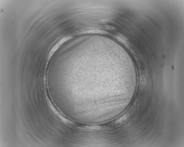 X0000052931282200507221112