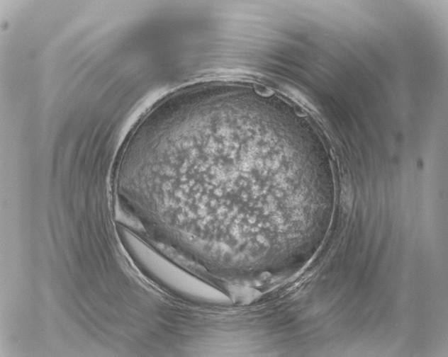 X0000052931283200507221112