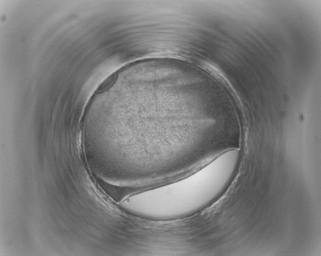 X0000052931284200507221112