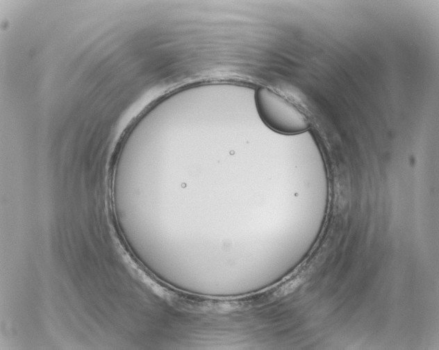 X0000052931286200507221112