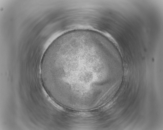 X0000052931287200507221112