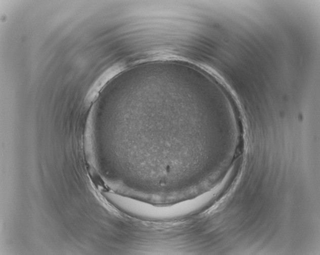 X0000052931289200507221112