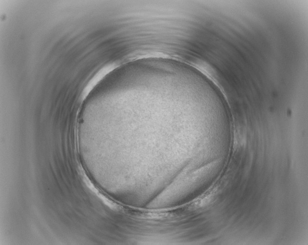 X0000052931290200507221112