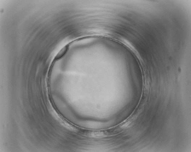 X0000052931291200507221112