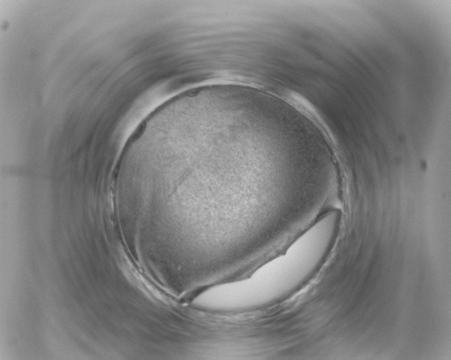 X0000052931292200507221112