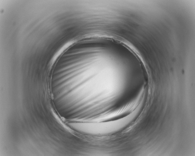 X0000052931293200507221112