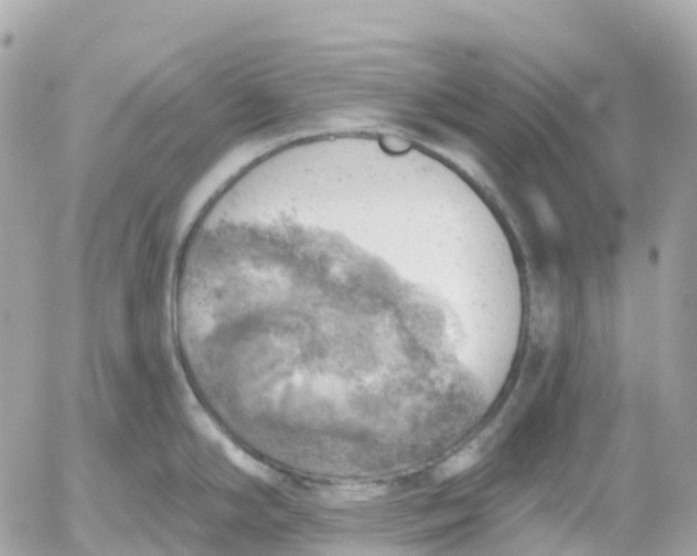 X0000052931294200507221112