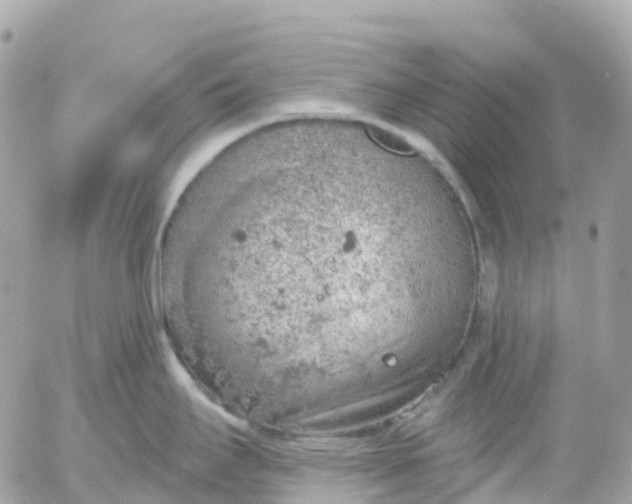 X0000052931295200507221112