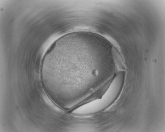 X0000052931296200507221112