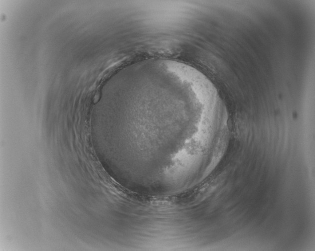 X0000052931297200507221111