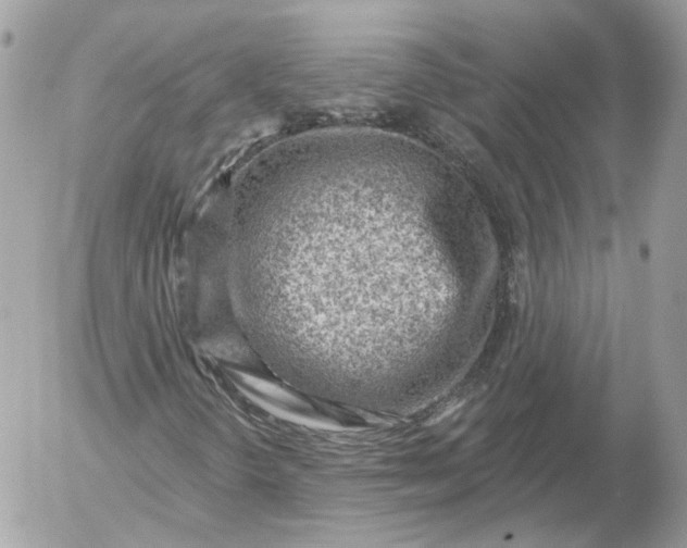 X0000052931298200507221111