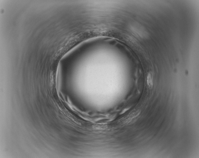 X0000052931299200507221111