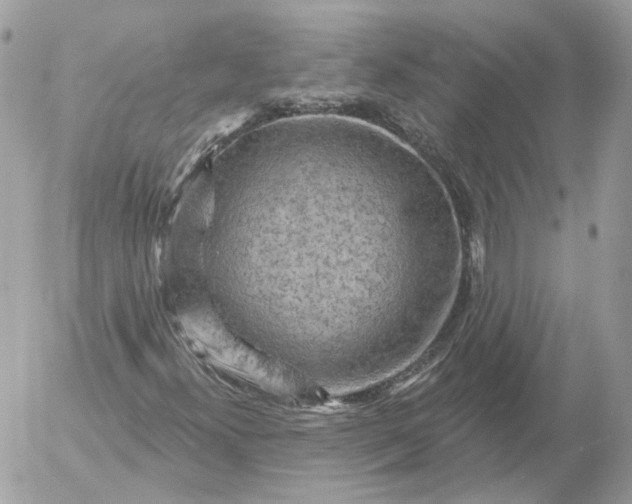 X0000052931300200507221111