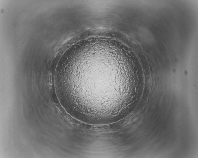 X0000052931301200507221111