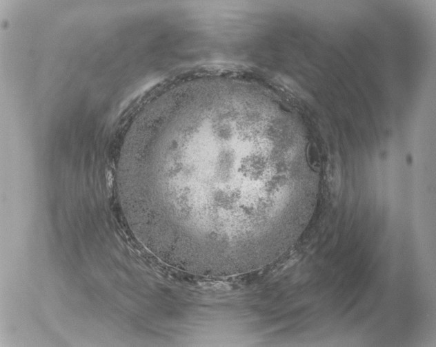 X0000052931302200507221111