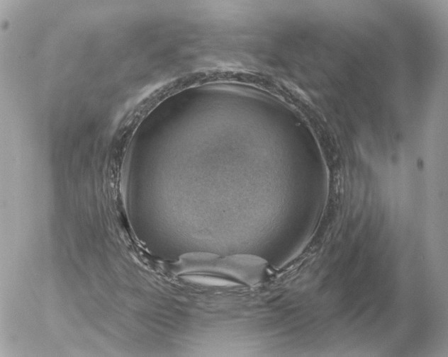 X0000052931303200507221111