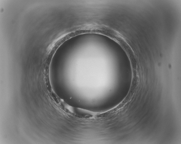 X0000052931304200507221111