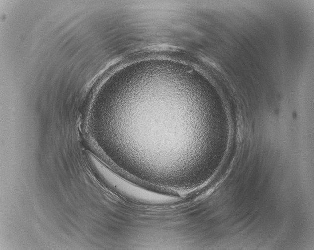 X0000052931305200507221111