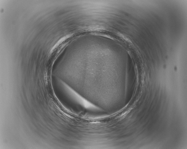 X0000052931306200507221111