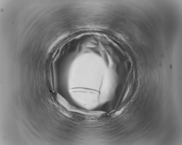 X0000052931307200507221111