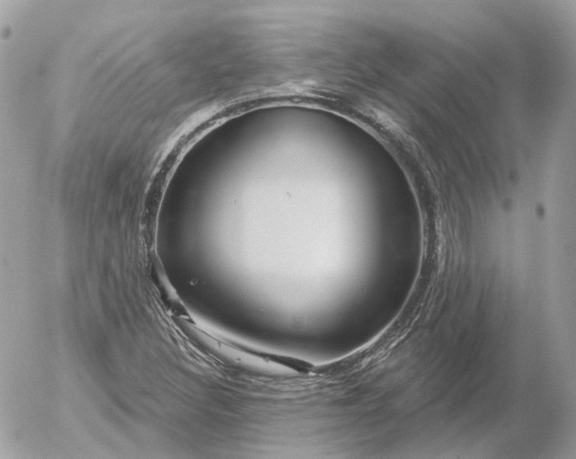 X0000052931308200507221111