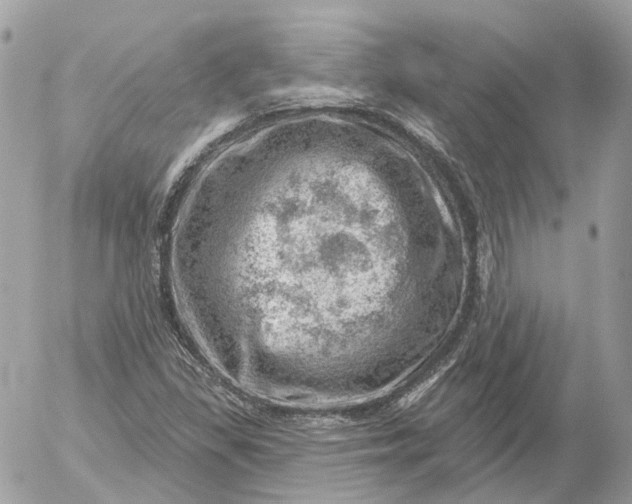 X0000052931309200507221111