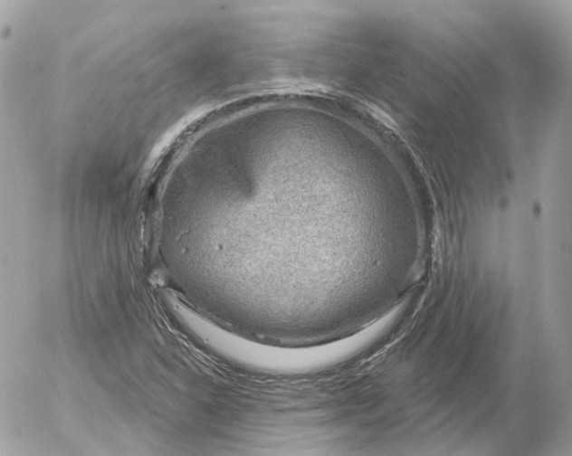 X0000052931310200507221111