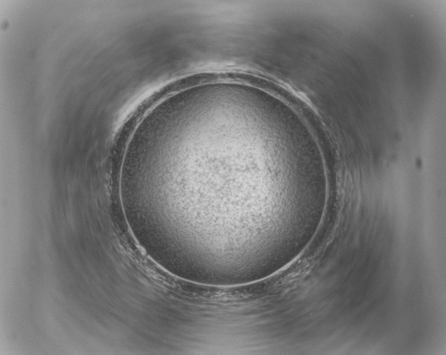 X0000052931311200507221111