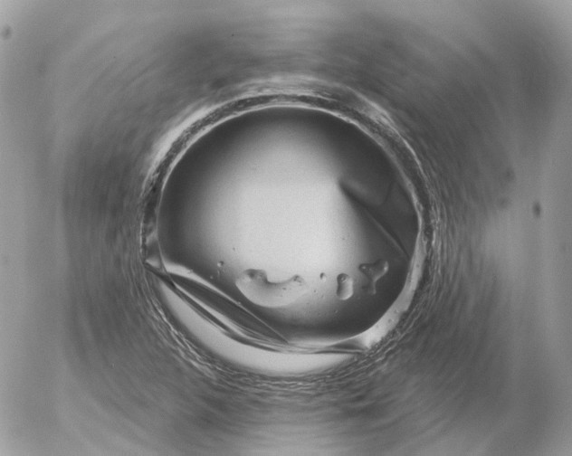 X0000052931312200507221111