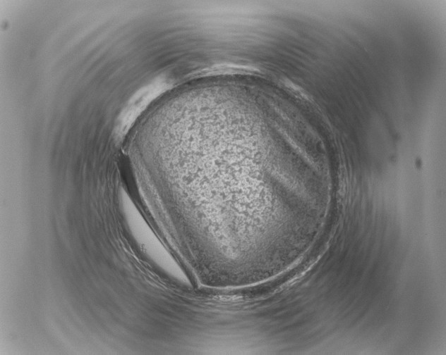 X0000052931313200507221111