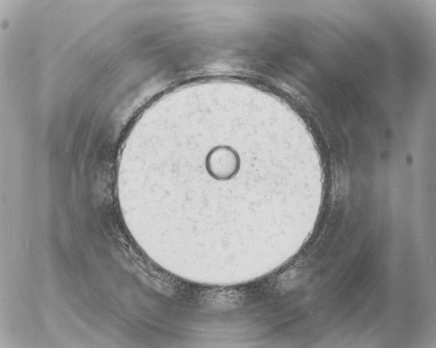 X0000052931314200507221111