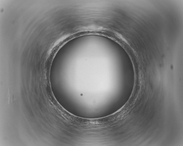 X0000052931315200507221111