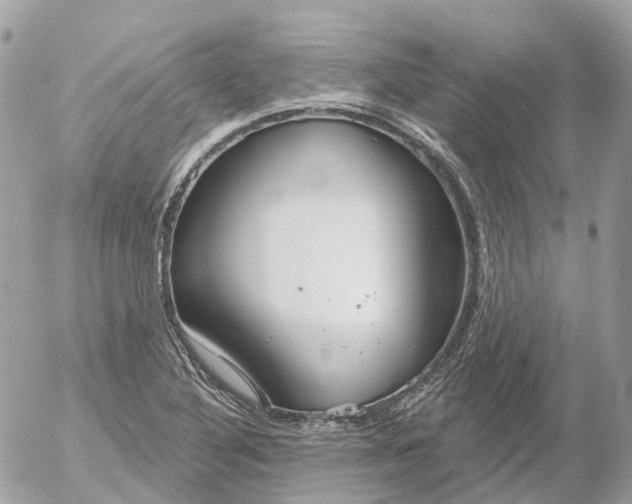 X0000052931316200507221111