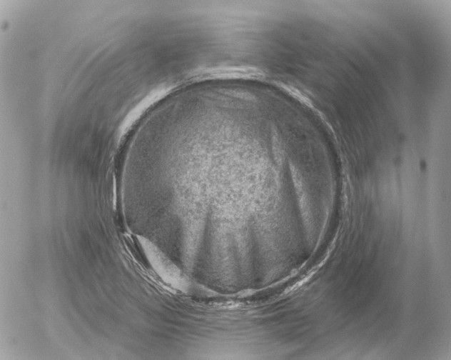 X0000052931317200507221111