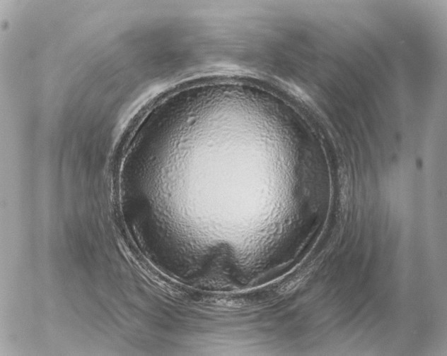 X0000052931318200507221111