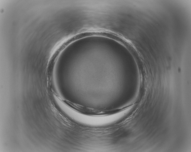 X0000052931319200507221111